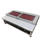 Charcoal-like BBQ grill Electric heating Digital control 1200mm Barbecue Grill