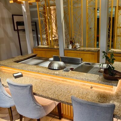 Commercial Teppanyaki Grill Table with Food-grade Alloy Steel and Electric/Gas Heating in 1200*850*800mm Size